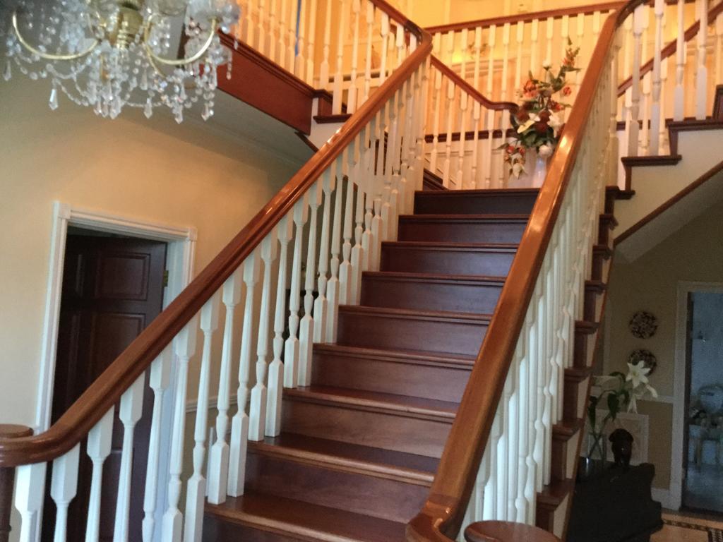 Plas Y Dderwen Bed And Breakfast Абъристуит Екстериор снимка
