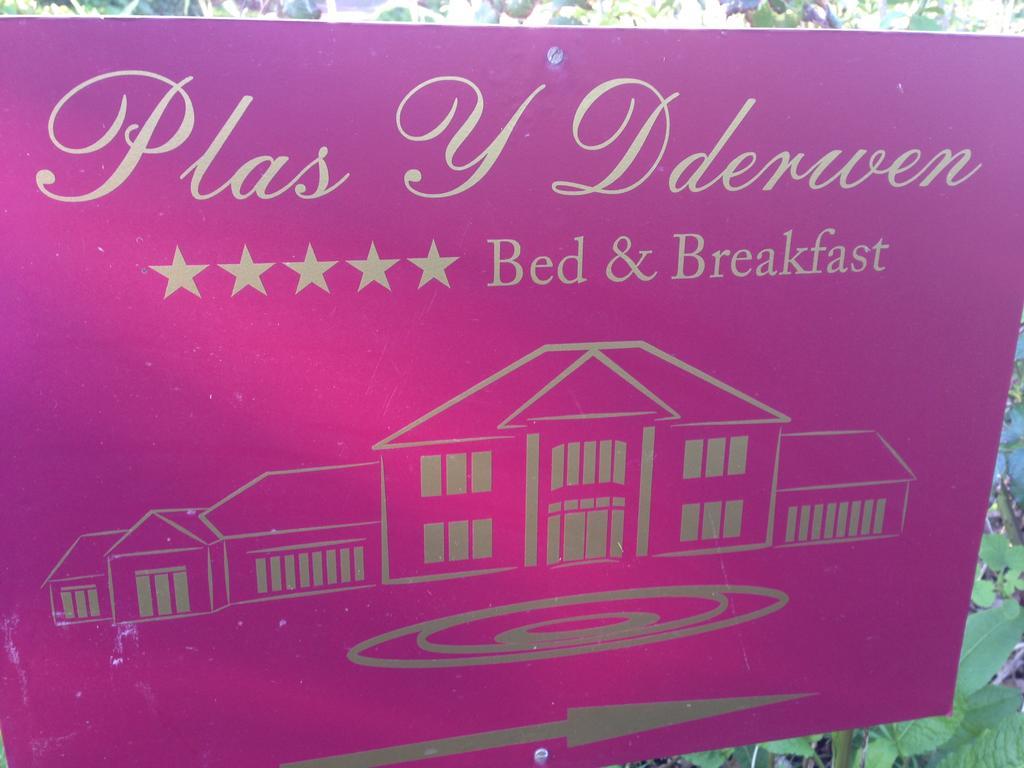 Plas Y Dderwen Bed And Breakfast Абъристуит Екстериор снимка